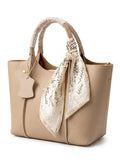 Hermes scarf bag