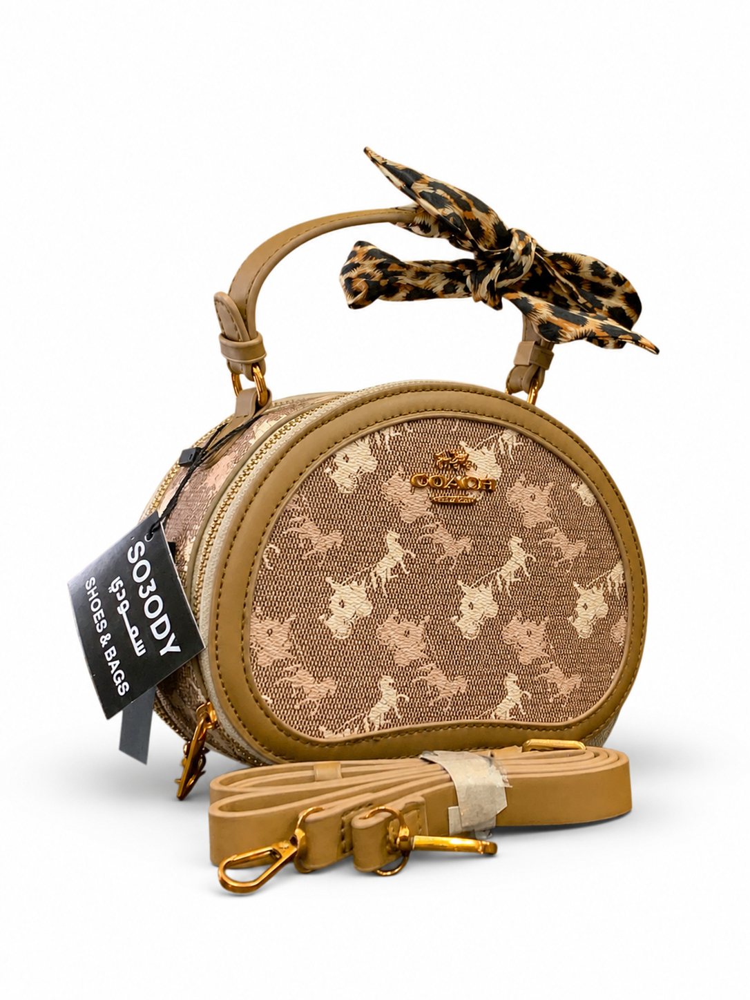 COACH VANITY BAG